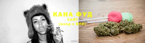 spice Алзамай