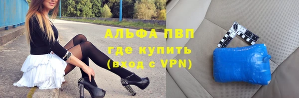 индика Абинск