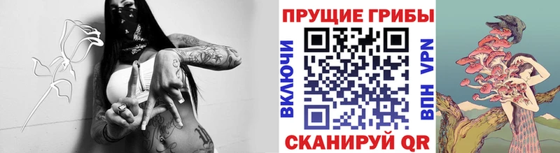 мега ссылка  цены   Ейск  Галлюциногенные грибы Psilocybine cubensis 