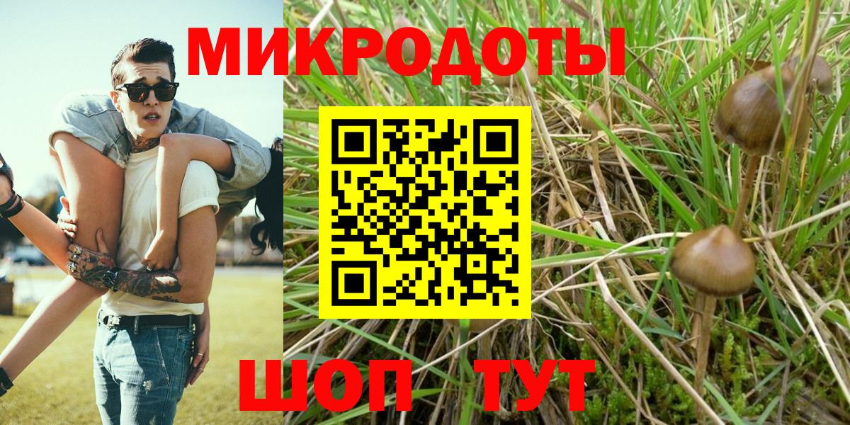 Галлюциногенные грибы Psilocybine cubensis Ейск