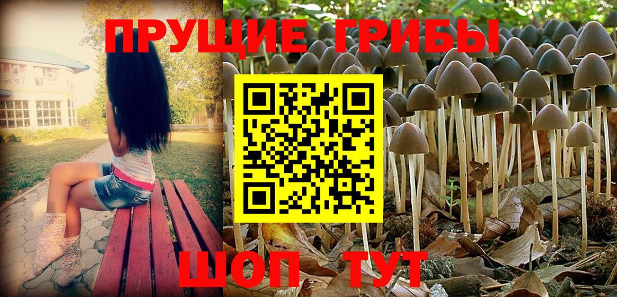 Псилоцибиновые грибы Magic Shrooms  Вход с VPN  Ейск  Псилоцибиновые грибы Psilocybe 